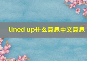 lined up什么意思中文意思